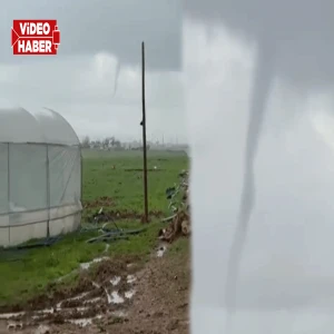 Şanlıurfa’da gören gözlerine inanamadı! Hortum seraları teğet geçti