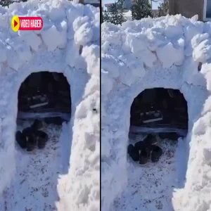Eskimo değil Şanlıurfalı! İglo evde ziyafet verdi…