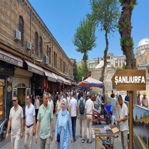 Şanlıurfa'da 13 ilçede kaymakamlıklara tam 1030 kişi alınacak! Başvurular başladı...