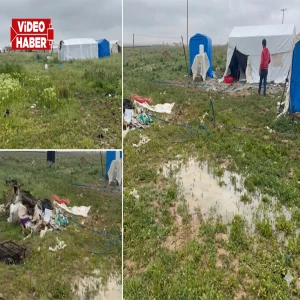 Şanlıurfalı işçilerin zorlu göç yolculuğu: Yağmur, çadır...
