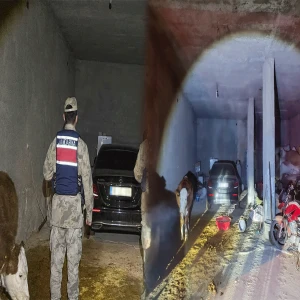 Şanlıurfa’da ihbar üzerine ekipler harekete geçti! Ahırdan bakın ne çıktı