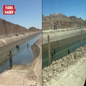 Şanlıurfa’da kanalda yine acı bekleyiş!