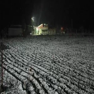 Şanlıurfa'ya ilkbahar bereketiyle geldi... Kırsala beyaz örtü çok yakıştı
