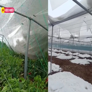Şanlıurfa'daki kar birikintisi bu kez sera alanlarını vurdu!