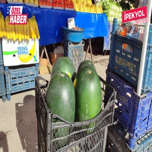 Şanlıurfa’da kışın ortasında karpuz sürprizi! Fiyatı dudak uçuklattı