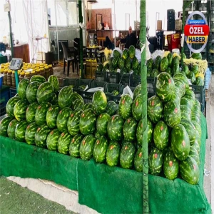 Urfalılar dayanamadı! Kilosu 50 lira ama kapış kapış gidiyor...