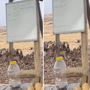 Şanlıurfa’daki bu kavun tezgahında kasiyer sizin vicdanınız!