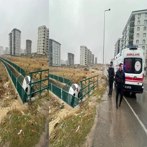 Şanlıurfa’da saniyeler içinde kabusu yaşadılar! Otomobil kanala uçtu: Yaralılar var