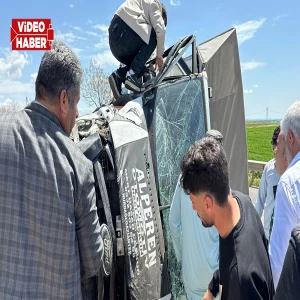 Şanlıurfa’da pikap devrildi! Ağaçlar yola saçıldı, yaralılar var