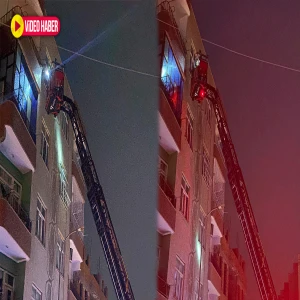 Viranşehir’de metrelerce yükseklikte mahsur kalan kedi kurtarıldı