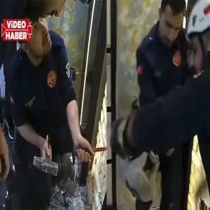 Şanlıurfa’da itfaiye minik dost için seferber oldu! Sıkıştığı alandan çıkarıldı