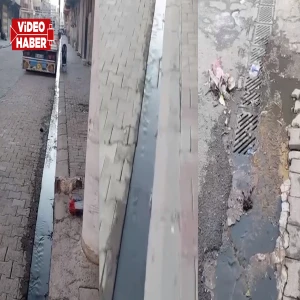 Şanlıurfa’da mahallelinin logar çilesi! Ne kokudan duruluyor ne yürünüyor
