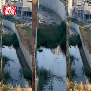Şanlıurfa'da vatandaşları bıktıran manzara: Tepki toplamaya devam ediyor