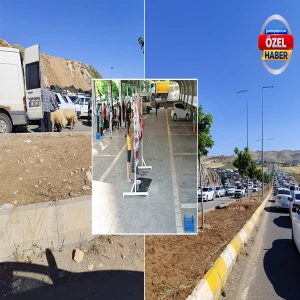 Şanlıurfa’da kurban telaşı: Trafik kilitlendi, kurbanlıklar zor anlar yaşattı