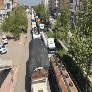 Şanlıurfa’nın akıllı kumruları! Trafik ışığını yemek zili yaptılar