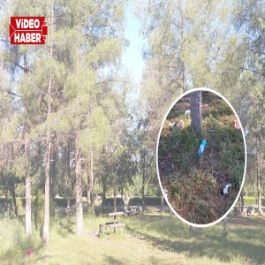 Şanlıurfa’da mesire alanı eski günlerini mumla arıyor!