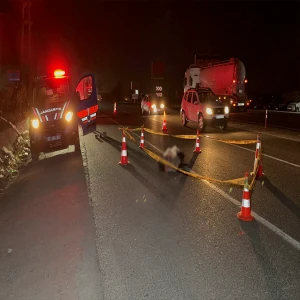 Yolun karşına geçerken hayatından oldu!