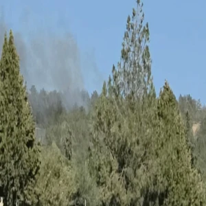 Şanlıurfa’da yasak kalktı!