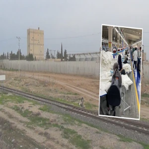 Şanlıurfa sınırında devasa üretim projesi! 250 bin istihdam, 5 milyar dolar ihracat