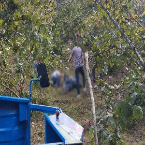 Şanlıurfalı mevsimlik tarım işçilerin acı yolculuğu: 2 ölü, 8 yaralı