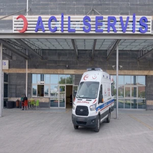 Şanlıurfa’da yolda yürüyen yaşlı adama kurt saldırdı!