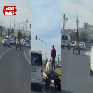 Şanlıurfa'da ilginç anlar! Trafiğe çıkması bile yasakken kırmızı ışıkta bekliyor