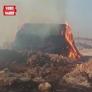 Şanlıurfa’da alevler saman balyalarını sardı! Tonlarca saman balyası kül oldu