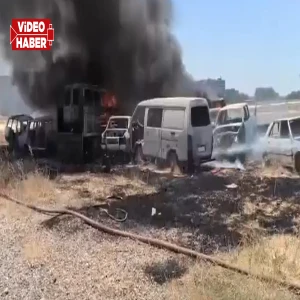 Şanlıurfa’da ‘milli servet’ kül oldu!