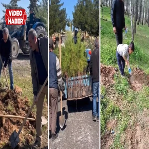 Şanlıurfa’da mahalleliden anlamlı etkinlik! Gidenlerin anısı fidanlarla yeşerecek