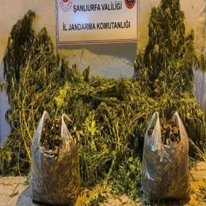 Şanlıurfa’da jandarmadan narkotik operasyonu! 4 kilo…