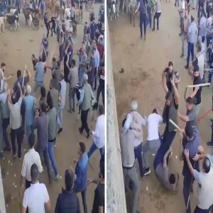 Canlı hayvan borsası bir anda karıştı! Ortalık savaş alanına döndü