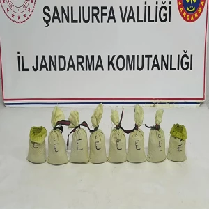 Şanlıurfa’da jandarmadan zehir tacirlerine baskın! Parça parça ele geçirildi