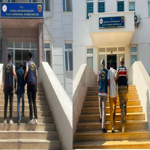 Şanlıurfa’da jandarmadan aranan şahıs operasyonu! 6’şar yıl hapis cezaları var