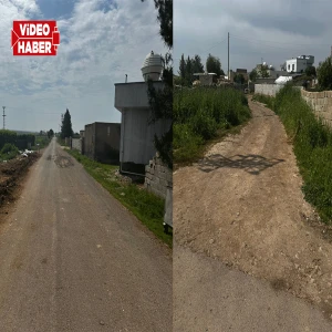 Ceylanpınar'da unutulan mahalle: Vatandaşlar çözüm bekliyor