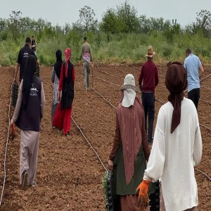 Şanlıurfa’da ata tohumları için büyük destek!