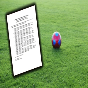Şanlıurfa amatör futbolunda adeta ceza yağdı: 4 futbolcuya men, 2 maça hükmen karar