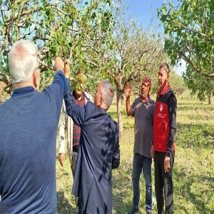 Şanlıurfa’da felaket sonrası ekipler sahaya indi! Hasar tespit çalışması yapılıyor