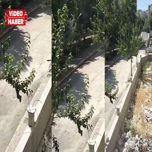 Şanlıurfa’da kazı bitti, toz toprak kaldı: Mahalle sakinleri mağdur