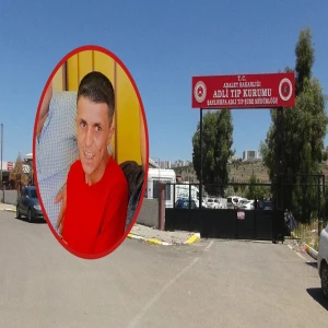 Şanlıurfa’da korkunç kaza! Otomobil sürüye daldı: Çoban hayatını kaybetti