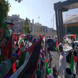 Şanlıurfa tek yürek oldu! Filistin konvoyuna görkemli karşılama