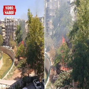 Şanlıurfa’da yürekler ağza geldi! Alevler trafonun yanında yükseldi