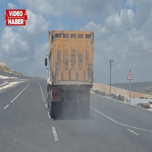 Şanlıurfa’da pes dedirten görüntü! Hem zehir saçıyor hem plakası yok…