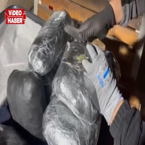 Şanlıurfa’da araçta parça parça halinde ele geçirildi! Tam 12 kilo…