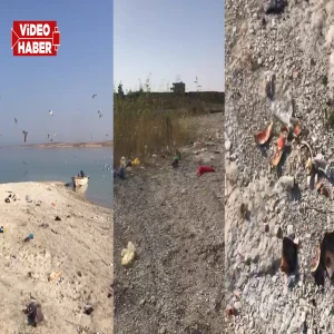Şanlıurfa’da piknik keyfi çevre kirliliğine dönüştü! Alanın son hali tepki çekti