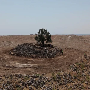 Şanlıurfa’da 1350 yıllık mucize!