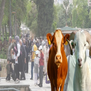 Şanlıurfa’da bayramda bunu yapan resmen yandı! 29 bin lira ceza…