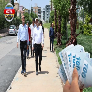 Şanlıurfa’da belediyenin başına bela olan palmiyeler!  Ağaç başına servet mi ödendi?