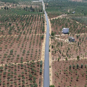 Şanlıurfa’da fıstık bereketi yollara taştı!