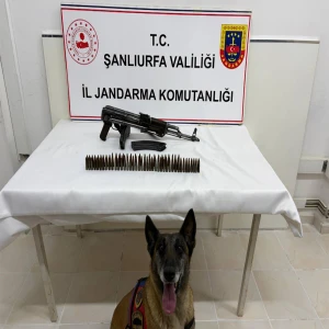 Şanlıurfa'da hassas burunlu köpek devreye girdi! Gözaltı var