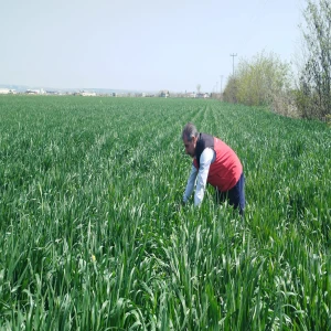 Şanlıurfa’da kimsenin beklemediği manzara! Ekipler her karışı inceliyor